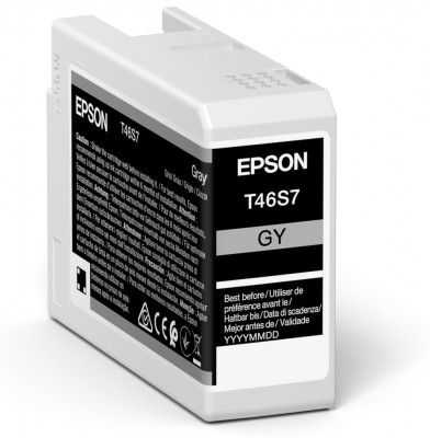 Epson Original T46S7 Grey Inkjet Cartridge C13T46S700