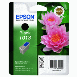 Original Epson T013 Black Ink cartridge