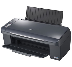 Epson Stylus DX4400 