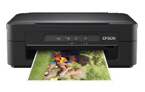 Epson Expression XP-102 