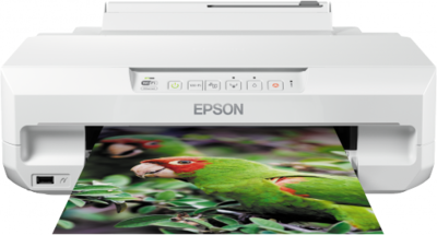 Epson Expression XP-55 