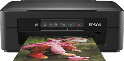 Epson Expression XP-245 