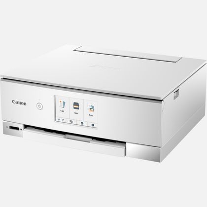 Canon Pixma TS8251 